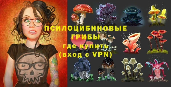 PSILOCYBIN Беломорск