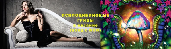 PSILOCYBIN Беломорск