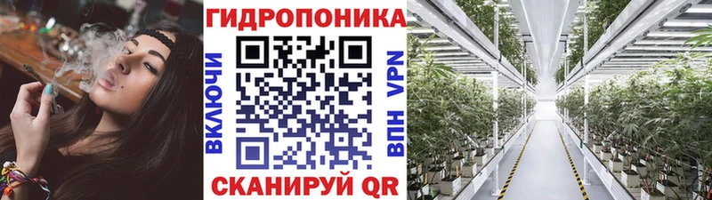 Шишки марихуана OG Kush  купить наркоту  Олёкминск 